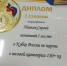 «Золотой батыр» из Козельска стал победителем Кубка России по поясной борьбе корэш - Газета Козельск