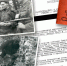 19.04.1943 – момент истины. 80 лет назад был создан легендарный «Смерш» - Газета Козельск