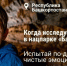 Притяжение природы: 2,6 миллиона россиян выбрали отдых на заповедных территориях страны в начале 2026 года - Газета Козельск
